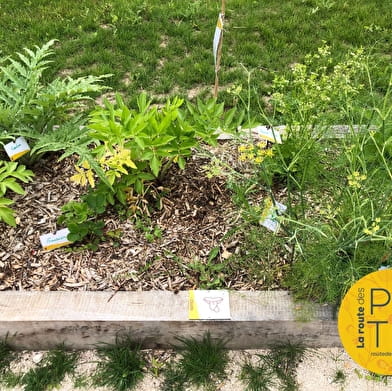 Discover Pirouette Cacahuète's funny garden with the whole family