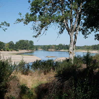 Family walk: Discovery trail of the Bec d'Allier ferryman